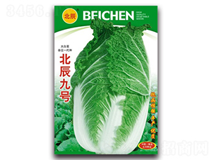 ������̖-��ײ˷N��-�����N�I(y��)