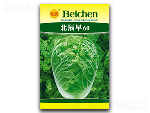 ������60-��ײ˷N��-�����N�I(y��)