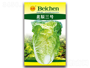 ������̖-��ײ˷N��-�����N�I(y��)