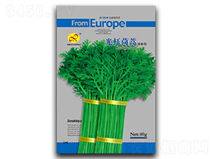 ��U����-����N��-��ɷN�I(y��)