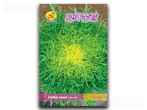 ���~����-���ķN��-��ɷN�I(y��)