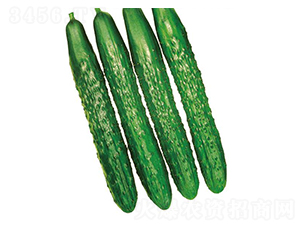 ��������-�S�ϷN��-�����r(n��ng)�I(y��)