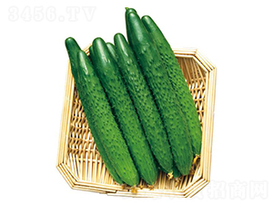 �G��25-�S�ϷN��-�����r(n��ng)�I(y��)