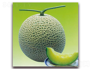 ����˹�ﶬϵ-��ϷN��-�����r(n��ng)�I(y��)