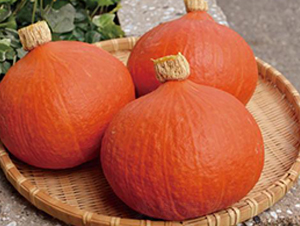 �t����-�ϹϷN��-�����r(n��ng)�I(y��)