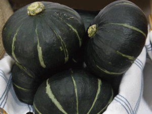 ؐ���R��-�ϹϷN��-�����r(n��ng)�I(y��)