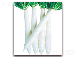 �L��ɽ-�}���N��-�����r�I(y��)