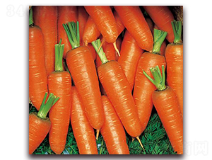 �º���������ϵ-���}���N��-�����r�I(y��)