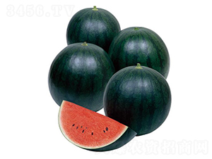 ��ͯ-���ϷN��-�����r(n��ng)�I(y��)