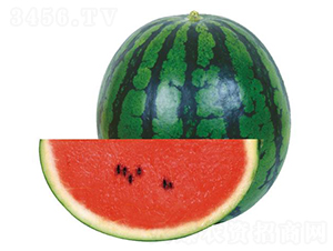 ��ӿ-���ϷN��-�����r(n��ng)�I(y��)