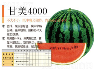 ����4000-���ϷN��-�����r(n��ng)�I(y��)