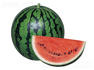 ����(j��)����-���ϷN��-�����r(n��ng)�I(y��)