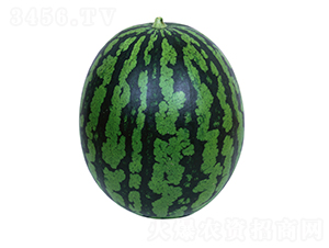 4K-���ϷN��-�����r�I(y��)