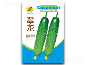 ����-�S�ϷN��-��ɷN�I(y��)