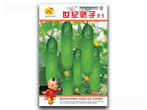 ���o(j��)���-�S�ϷN��-��ɷN�I(y��)