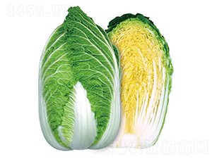 ه�S80-�ײ˷N��-�����r�I(y��)