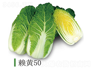 ه�S50-�ײ˷N��-�����r�I(y��)