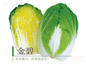 ���-�ײ˷N��-�����r�I(y��)