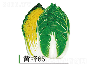 �S��65-�ײ˷N��-�����r�I(y��)