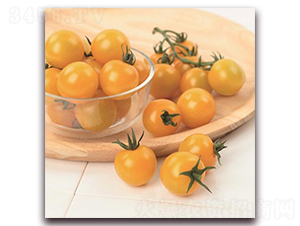 ����20-���ѷN��-�����r(n��ng)�I(y��)