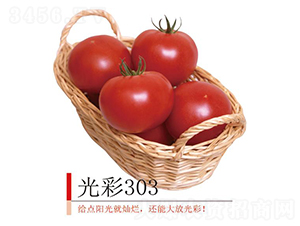 ���303-���ѷN��-�����r(n��ng)�I(y��)