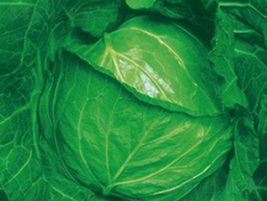 �O�纮��-���{(l��n)�N��-�����r(n��ng)�I(y��)