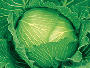 ����120-���{(l��n)�N��-�����r(n��ng)�I(y��)