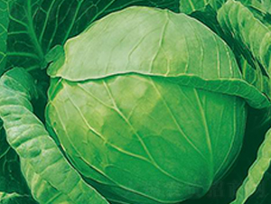 ���R-���{(l��n)�N��-�����r(n��ng)�I(y��)