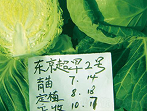 �|������2̖(h��o)-���{(l��n)�N��-�����r(n��ng)�I(y��)