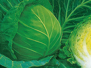 KAG-703-���{�N��-�����r(n��ng)�I(y��)