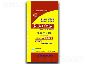 ���ġ���-�S�M��