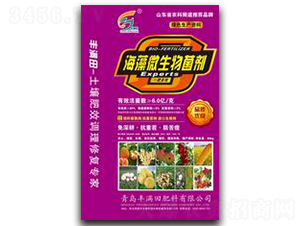 ����΢�������-�S�M��