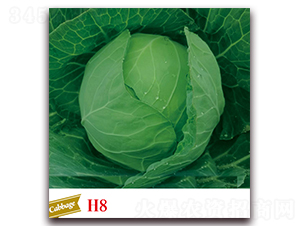 �ϸ�26-���{(l��n)�N��-����