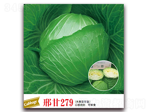 �ϸ�279-���{(l��n)�N��-����