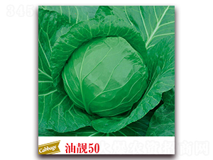 ���n50-���{(l��n)�N��-����