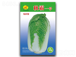 ���һ̖-�ײ˷N��-��ɷN�I(y��)