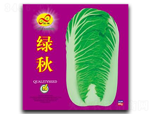 �G��-�ײ˷N��-��ɷN�I(y��)