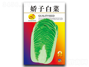 ���Ӱײ�-�ײ˷N��-��ɷN�I(y��)