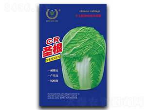 CRʥ��-�ײ˷N��-��ɷN�I(y��)