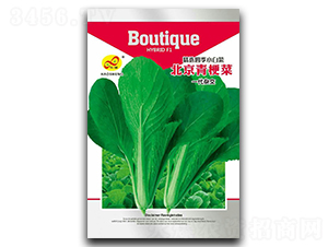 �����๣-�๣�˷N��-��ɷN�I(y��)