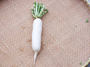 Ͳ���}��-�}���N��-����r�I(y��)