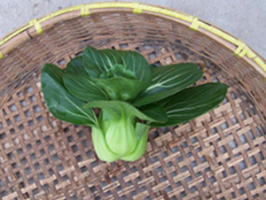 ��ɽ-�๣�˷N��-����r(n��ng)�I(y��)