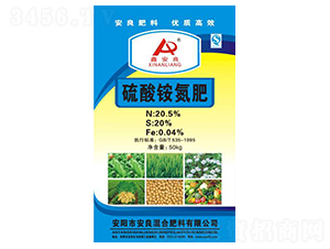 20.5%�����@����-�ΰ���