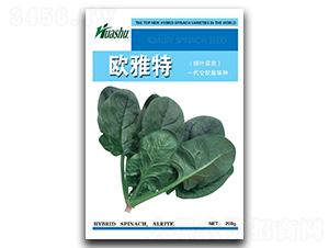 �W����-���˷N��-�A�߷N�I(y��)