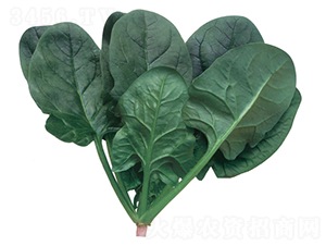 �n��-���˷N��-�A�߷N�I(y��)