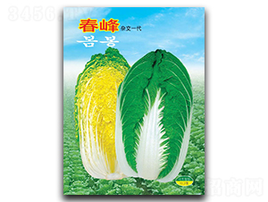 ����-�ײ˷N��-�A�߷N�I(y��)