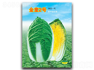 ��ͯ2̖-�ײ˷N��-�A�߷N�I(y��)