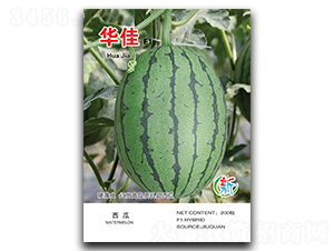 �A��-���ϷN��-�A�߷N�I(y��)