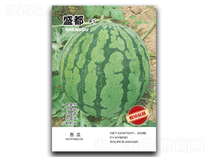 ʢ��-���ϷN��-�A�߷N�I(y��)