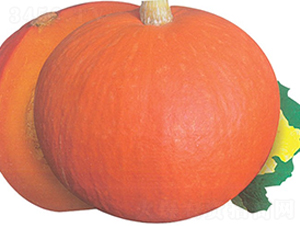 ����-�ϹϷN��-�A�߷N�I(y��)